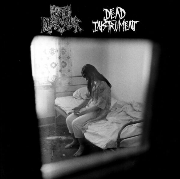 METH DRINKER / DEAD INSTRUMENT - Split - 7'' (Drop Out Records)