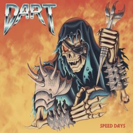 dart cover